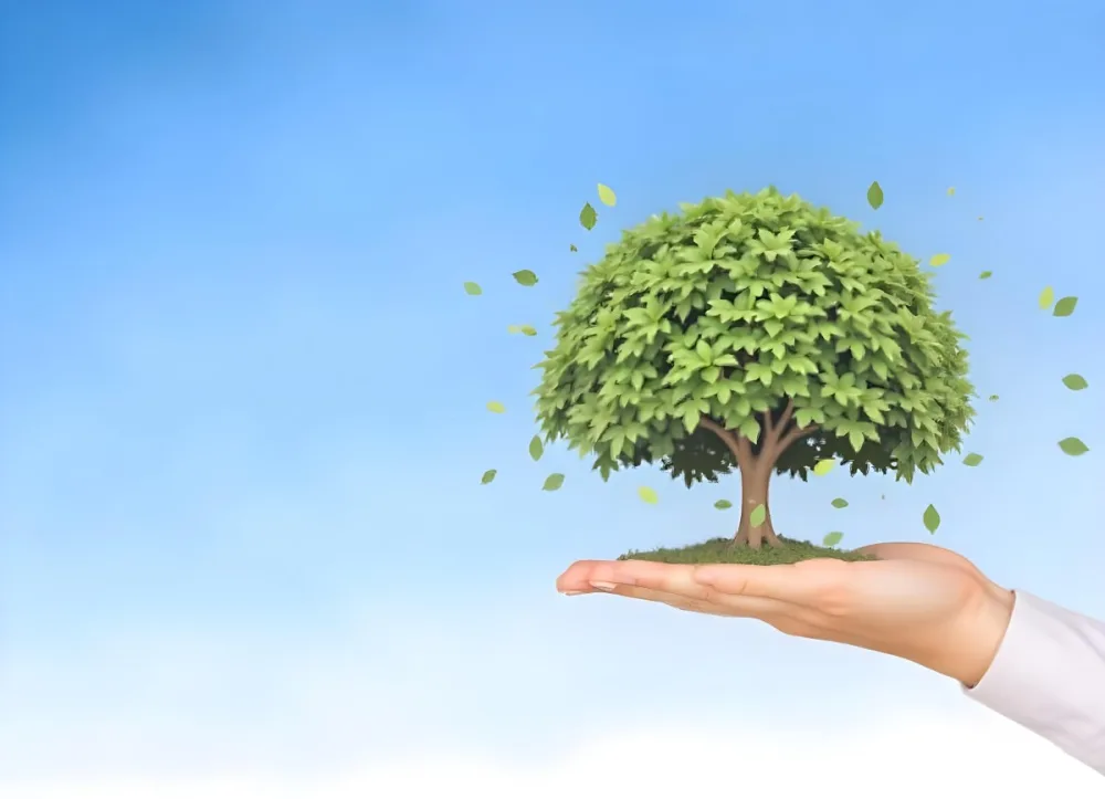 A Hand Holding A Tree With Green Leaves Blue Sky Background The Tree Is Small And Has A Round Shape The Hand Is Light Skin 40 1c77