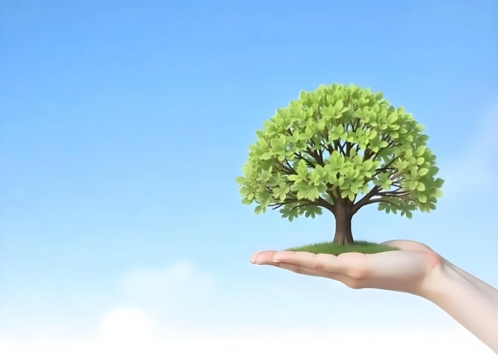 A Hand Holding A Tree With Green Leaves Blue Sky Background The Tree Is Small And Has A Round Shape The Hand Is Light Skin 5 94d2
