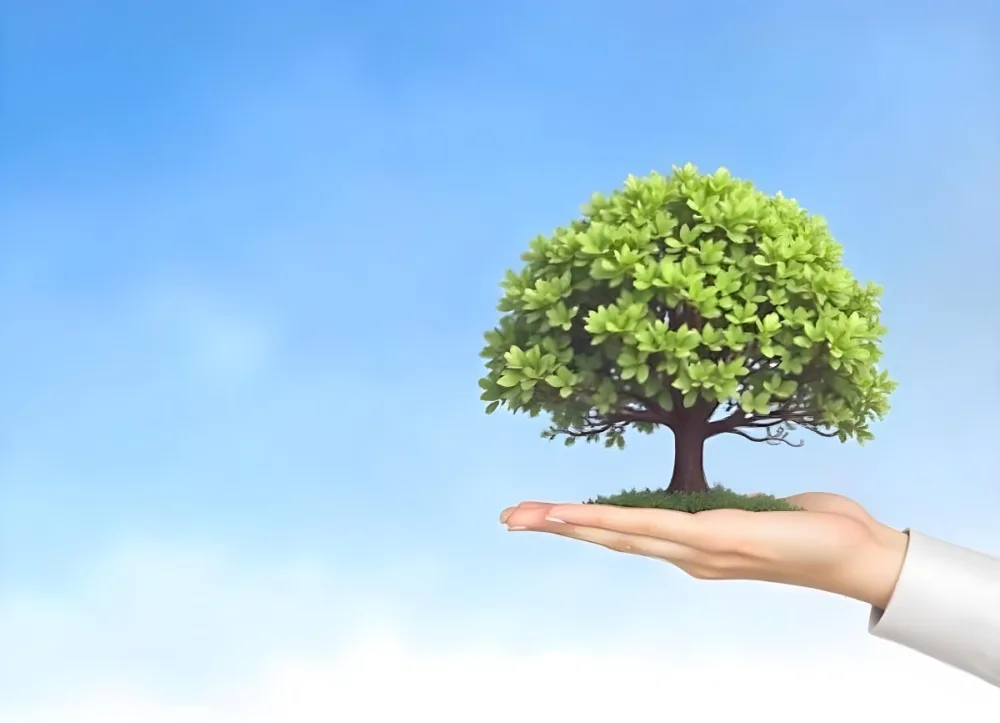 A Hand Holding A Tree With Green Leaves Blue Sky Background The Tree Is Small And Has A Round Shape The Hand Is Light Skin 6 E200