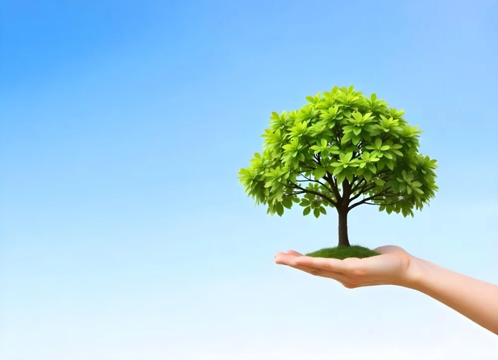 A Hand Holding A Tree With Green Leaves Blue Sky Background The Tree Is Small And Has A Round Shape The Hand Is Light Skin 6 F324