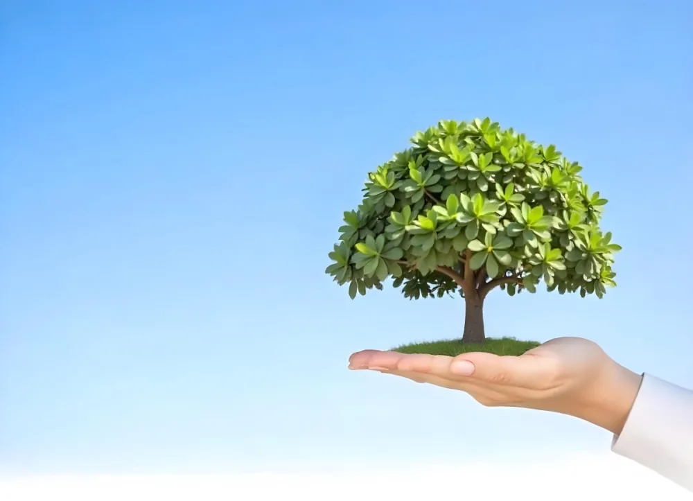 A Hand Holding A Tree With Green Leaves Blue Sky Background The Tree Is Small And Has A Round Shape The Hand Is Light Skin 7 628b