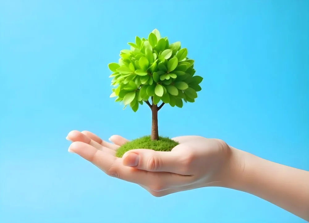 A Hand Holding A Tree With Green Leaves Blue Sky Background The Tree Is Small And Has A Round Shape The Hand Is Light Skin 7 A916