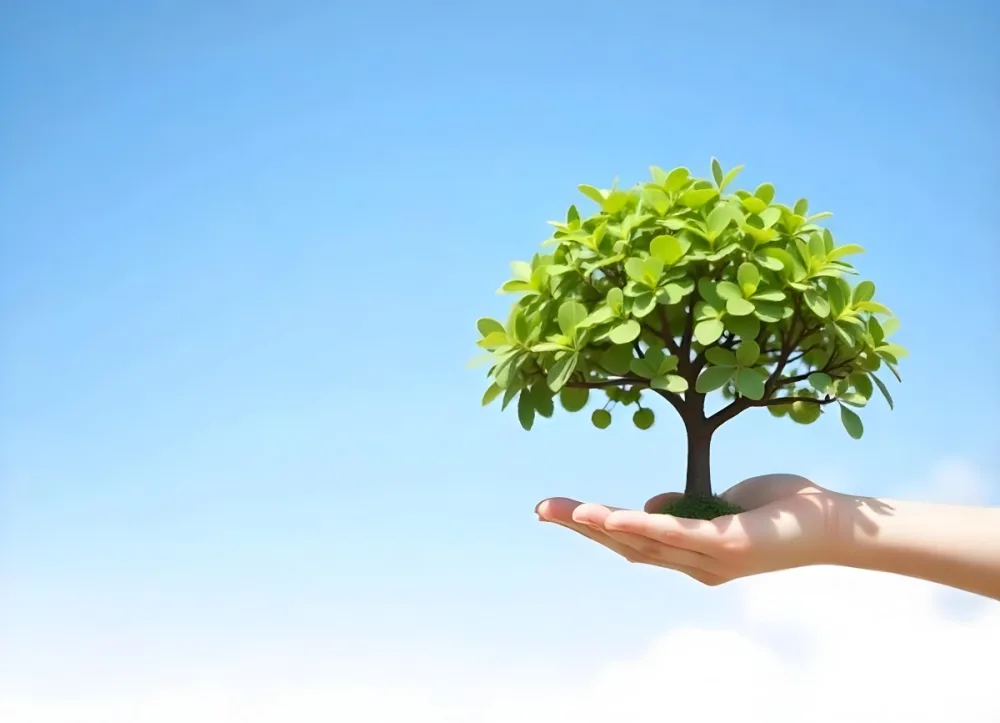 A Hand Holding A Tree With Green Leaves Blue Sky Background The Tree Is Small And Has A Round Shape The Hand Is Light Skin 8 805b
