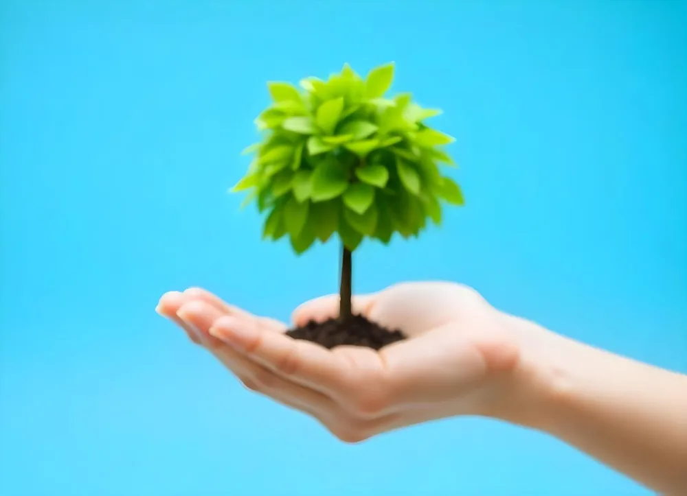 A Hand Holding A Tree With Green Leaves Blue Sky Background The Tree Is Small And Has A Round Shape The Hand Is Light Skin 9 10a9