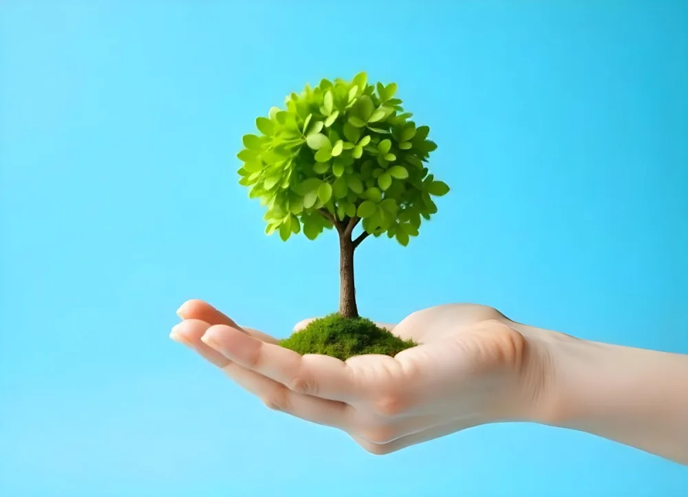 A Hand Holding A Tree With Green Leaves Blue Sky Background The Tree Is Small And Has A Round Shape The Hand Is Light Skin 9 2bf7