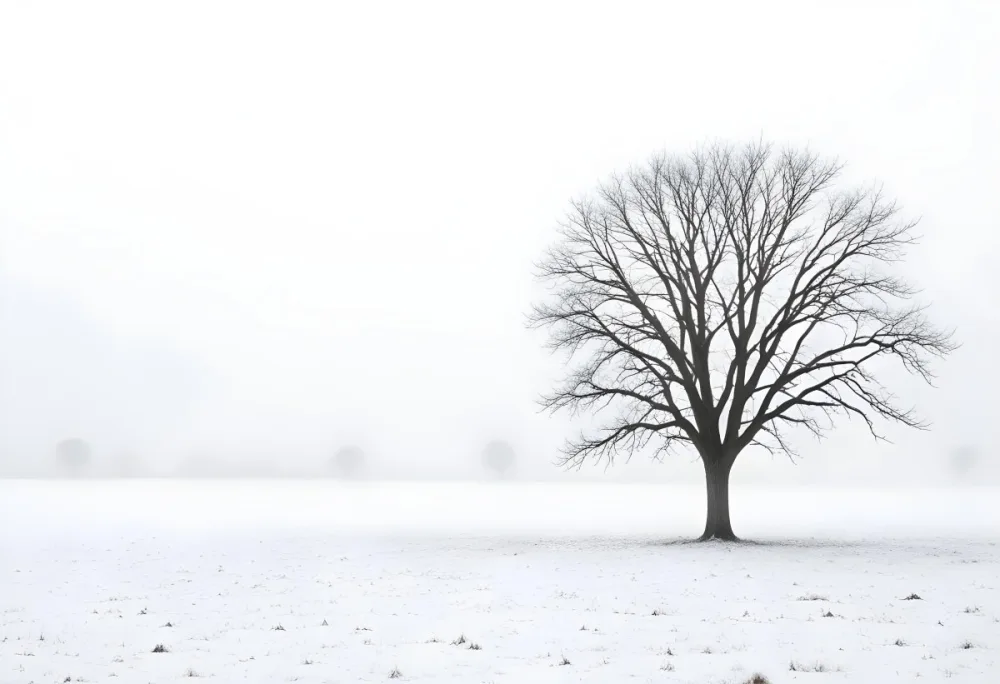 A Lone Bare Tree In A Snowy Field On A Foggy Winter Day 11 E3bc