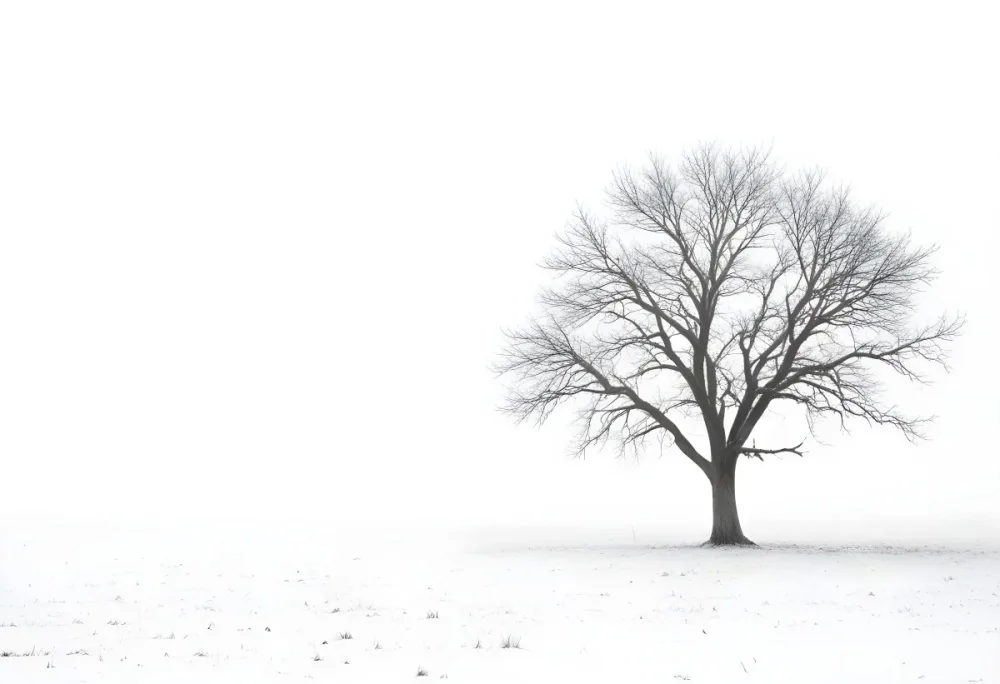A Lone Bare Tree In A Snowy Field On A Foggy Winter Day 27 37d0