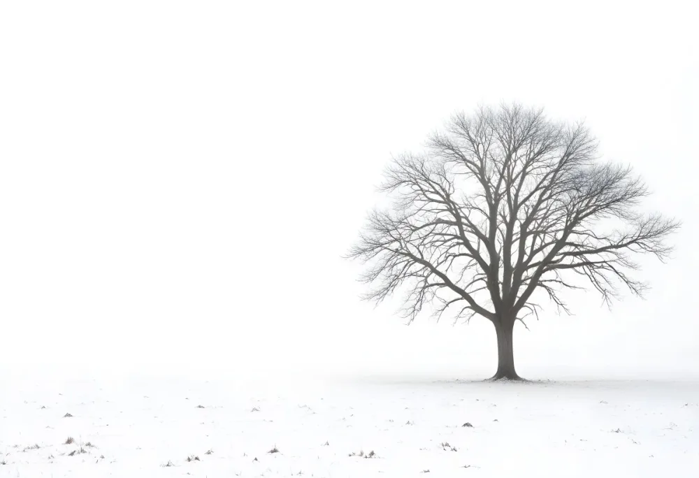 A Lone Bare Tree In A Snowy Field On A Foggy Winter Day 28 0d43