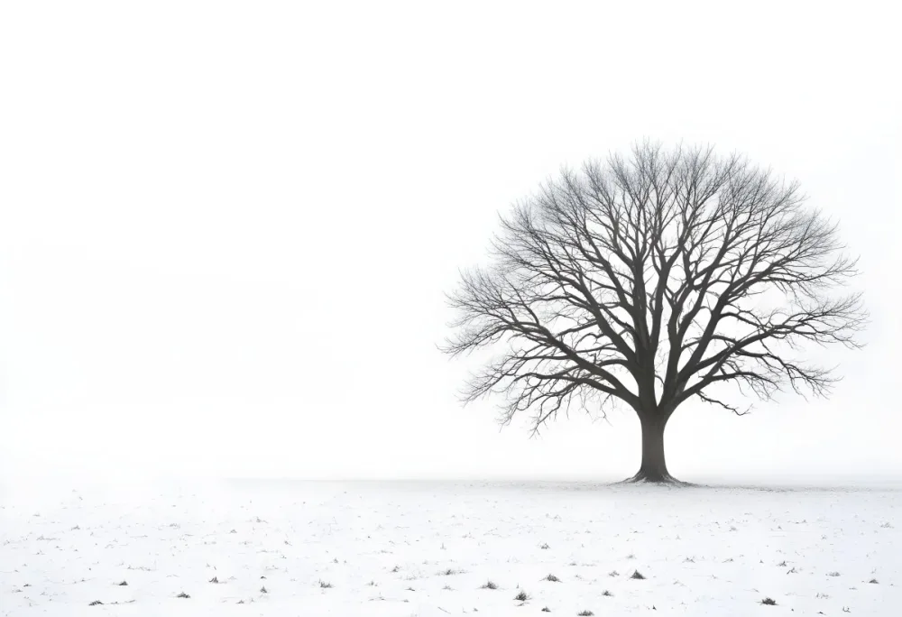 A Lone Bare Tree In A Snowy Field On A Foggy Winter Day 4 E17f