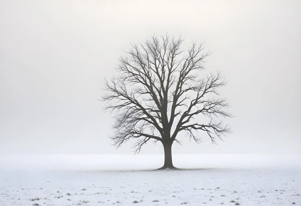 A Lone Bare Tree In A Snowy Field On A Foggy Winter Day 6 002e