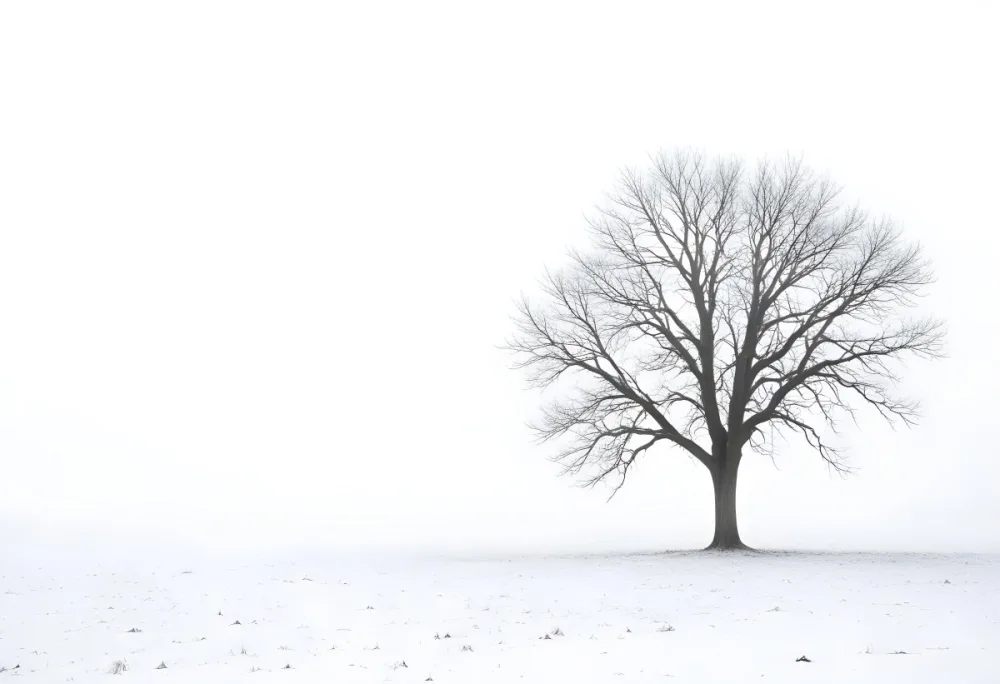 A Lone Bare Tree In A Snowy Field On A Foggy Winter Day 9 2ecb