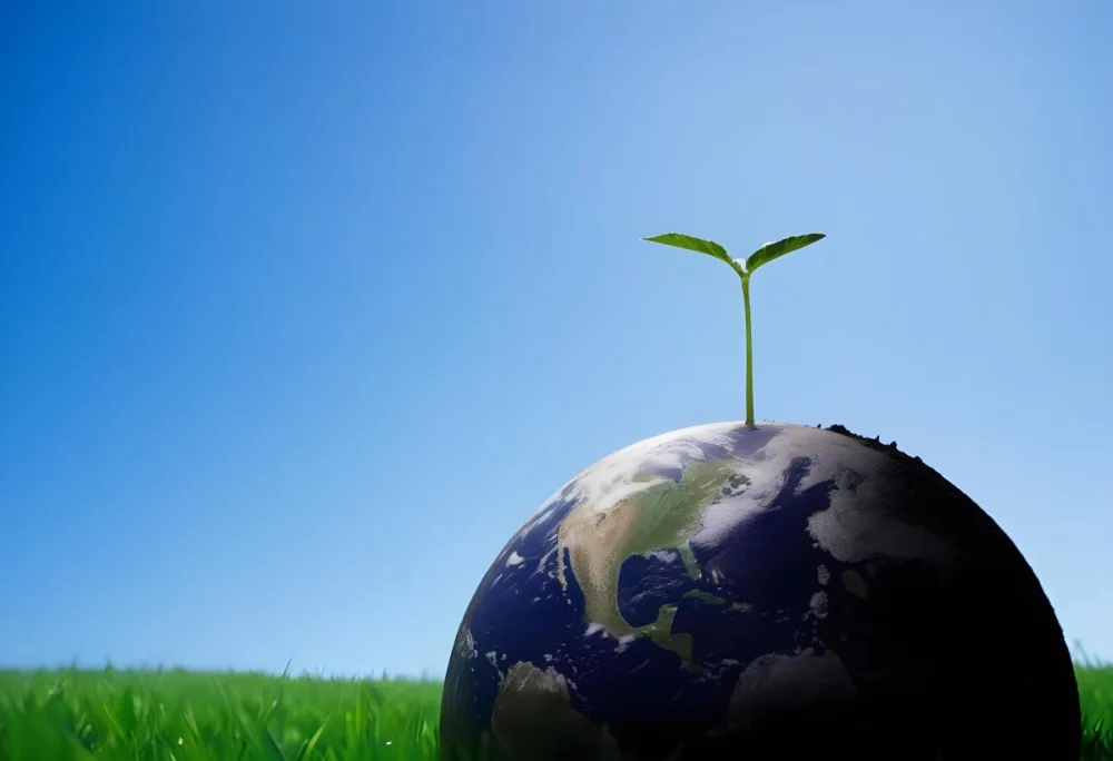 A Small Green Plant Growing On Top Of The Earth With A Blue Sky And Green Grass In The Background 6 5dc9