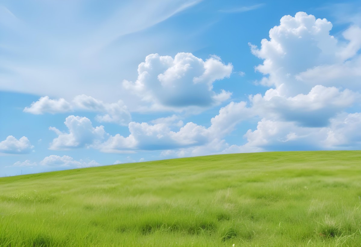 Green Grass Hill Under A Blue Sky With White Clouds Sunny Day Vibrant Colors Natural Light Clear Atmosphere Outdoor Setting Peaceful Scenery 9 7f31