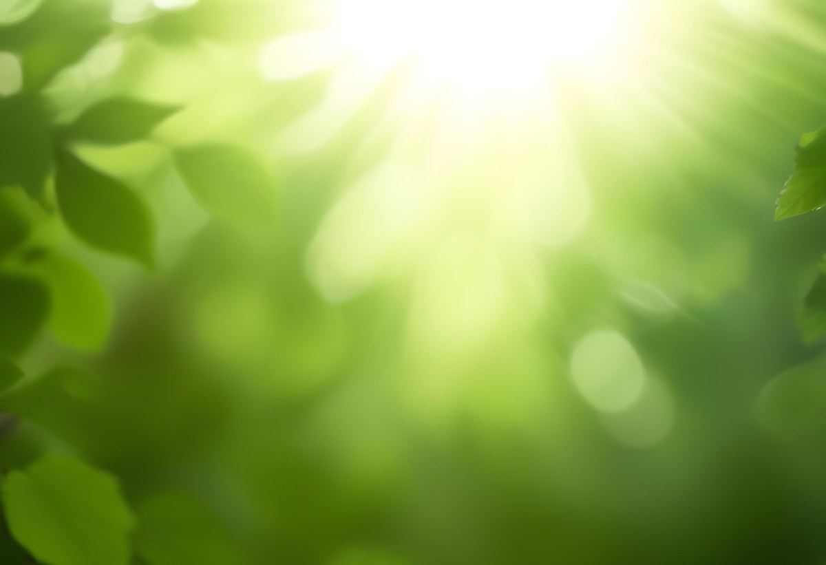 Green Leaves