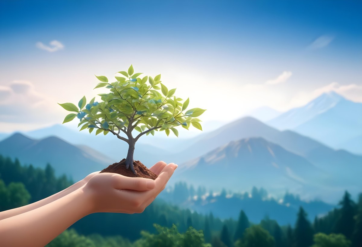Light Skinned Hands Holding A Small Tree With Blue Leaves And Brown Soil Soft Focus Background With Mountains And Blue Sky 51 C5f4