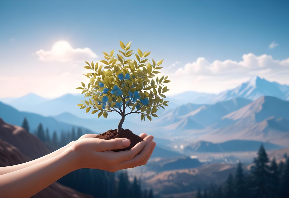 Light Skinned Hands Holding A Small Tree With Blue Leaves And Brown Soil Soft Focus Background With Mountains And Blue Sky 6 74c8
