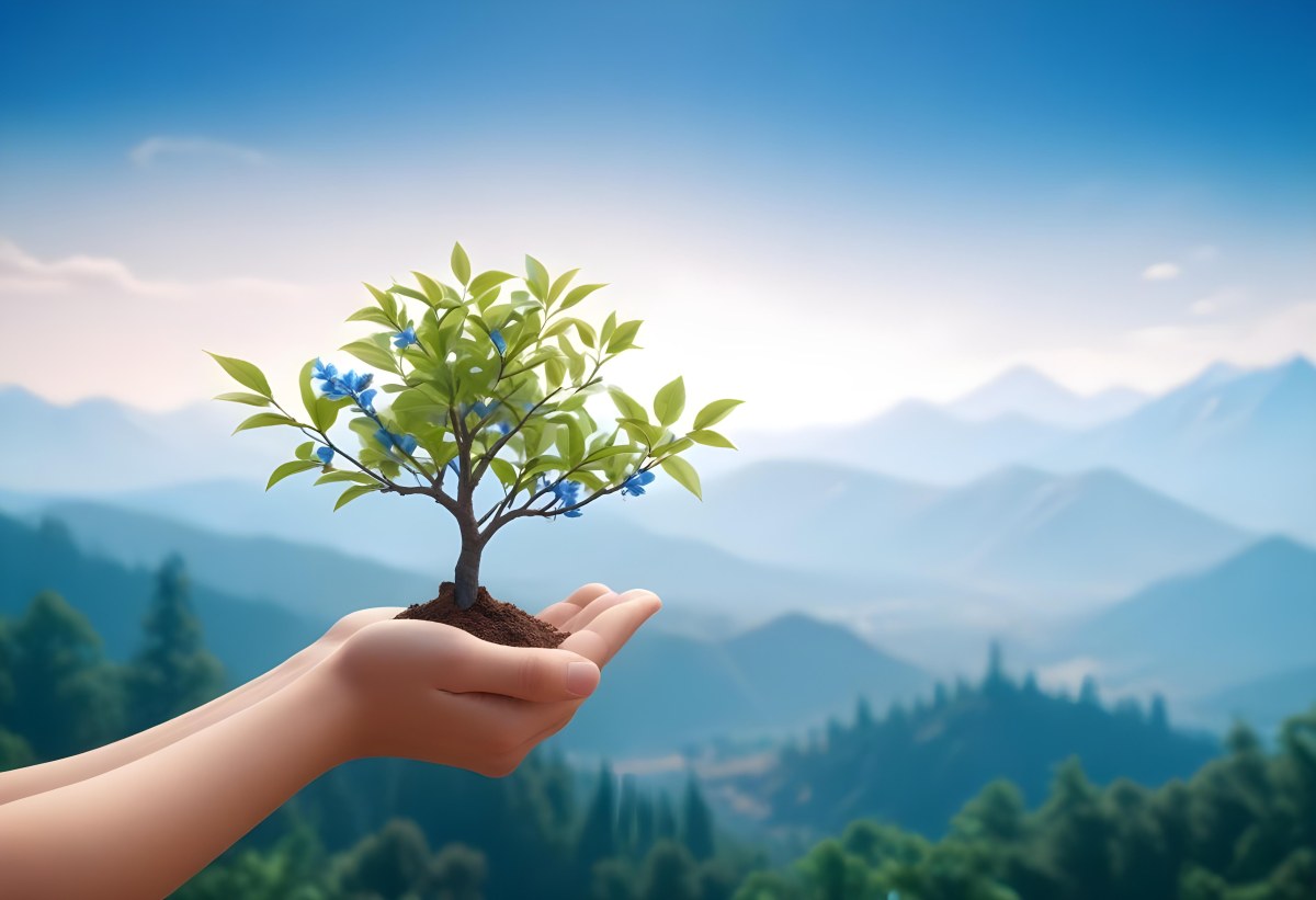 Light Skinned Hands Holding A Small Tree With Blue Leaves And Brown Soil Soft Focus Background With Mountains And Blue Sky 7 7e6c