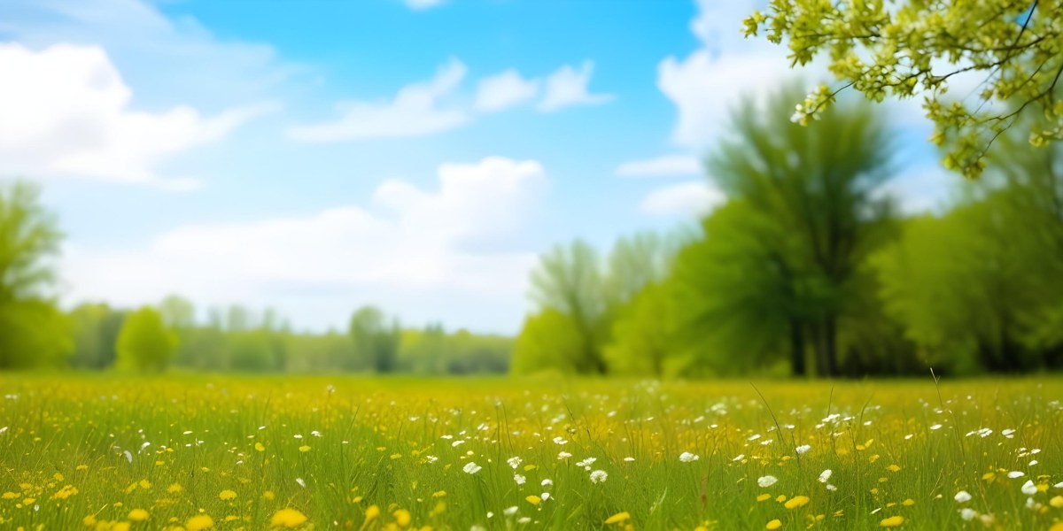 Meadow With White Flowers Yellow Grass Blue Sky With White Clouds And Yellow Trees In The Background 31 0537