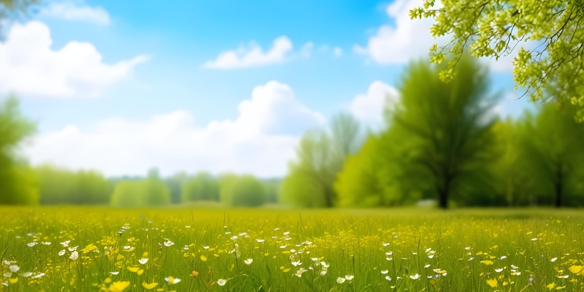 Meadow With White Flowers Yellow Grass Blue Sky With White Clouds And Yellow Trees In The Background 46 9986