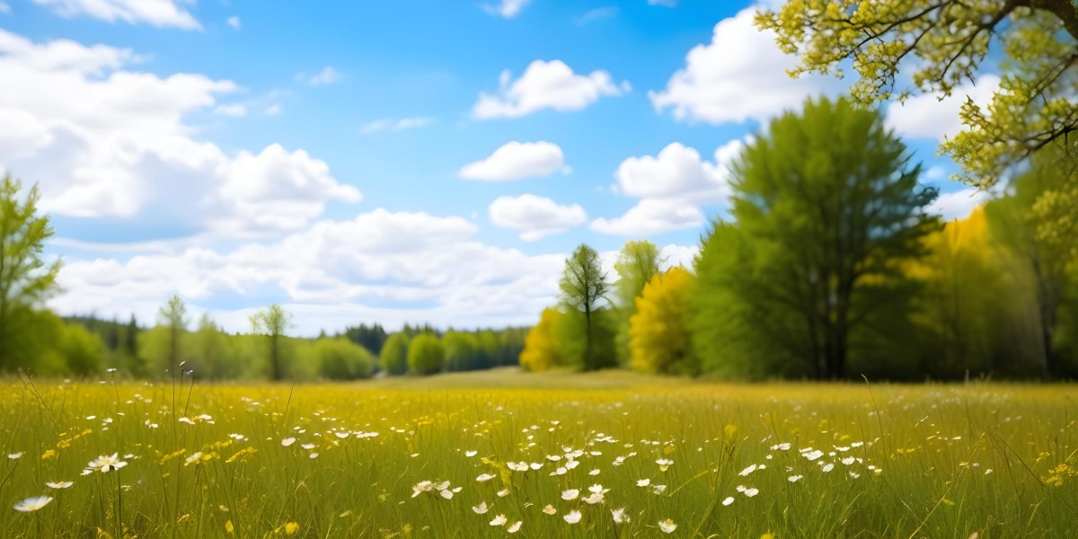 Meadow With White Flowers Yellow Grass Blue Sky With White Clouds And Yellow Trees In The Background 9 57e8