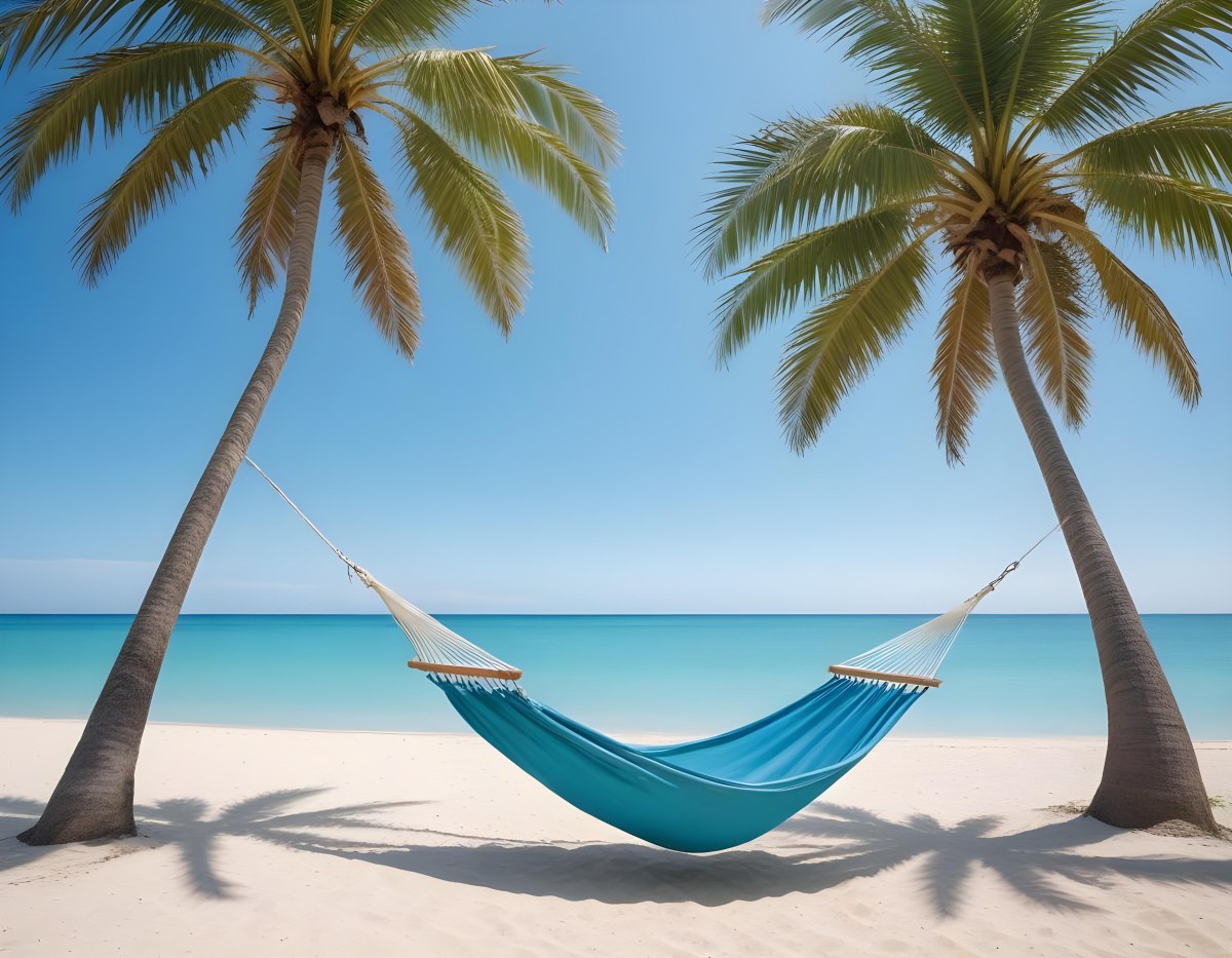 Minimal Soft Studio Light Photography Beach Scene With Two Tall Palm Trees On Either Side A Blue Hammock Strung Between Them Soft Sandy Shore Calm Turquoise Water And A Clear Blue Sky With A Few Clouds In The Backg 5 585e