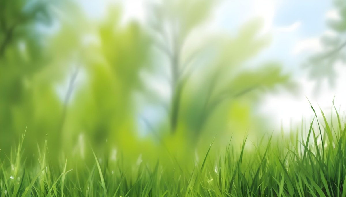 Oil Painting Green Grass In The Foreground Out Of Focus Trees And Sky In The Background Bright And Sunny Day Nature Creative Extremely Detailed Brush Stroke 4 Cac9