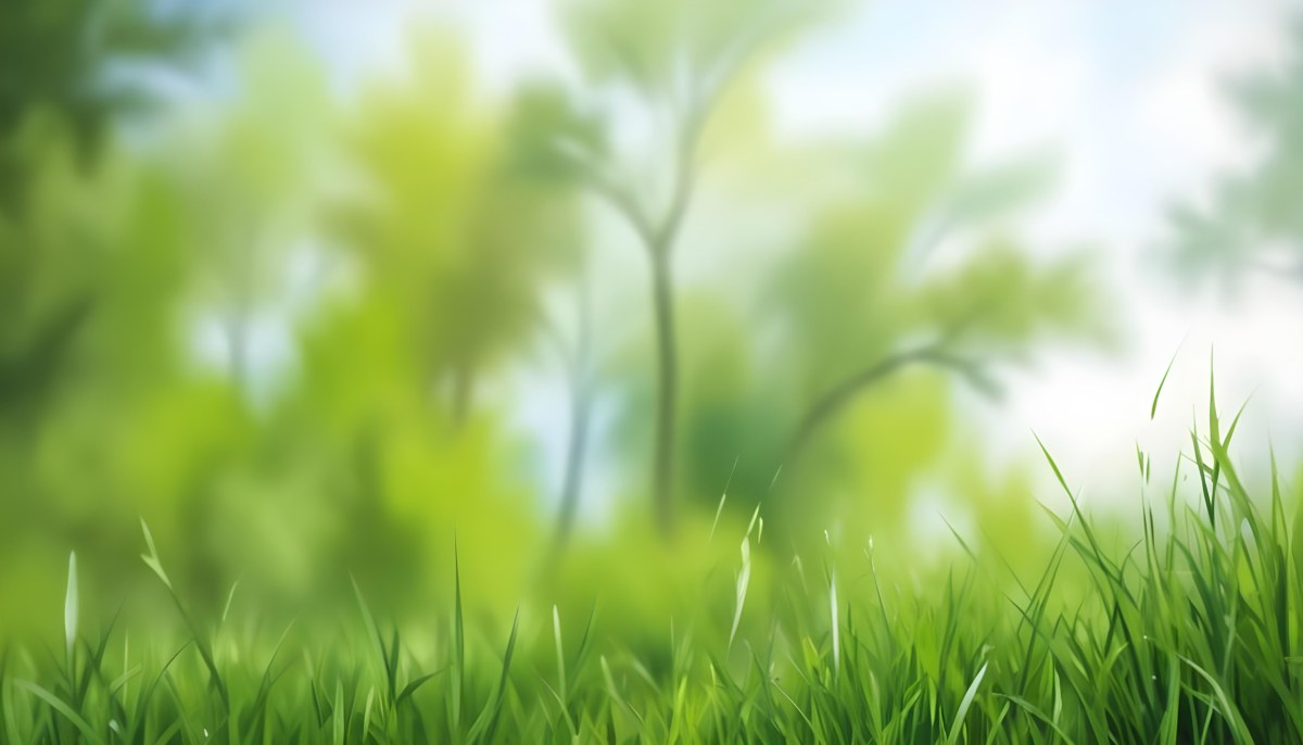 Oil Painting Green Grass In The Foreground Out Of Focus Trees And Sky In The Background Bright And Sunny Day Nature Creative Extremely Detailed Brush Stroke 5 04f4