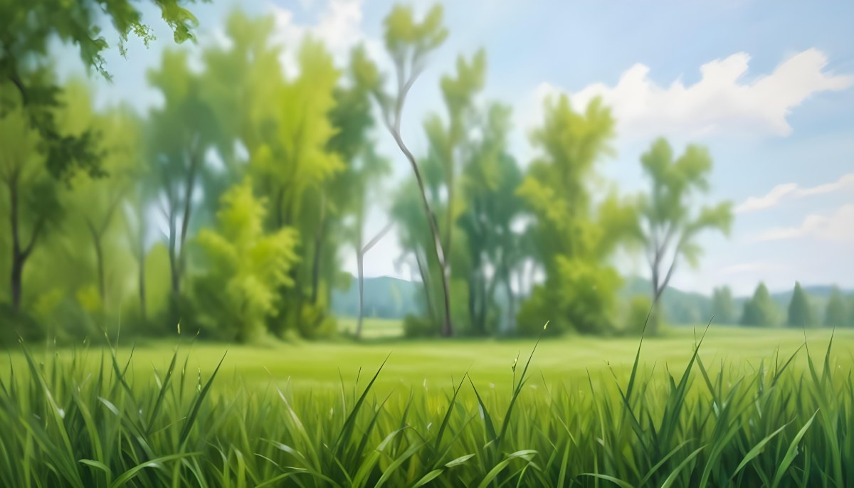 Oil Painting Green Grass In The Foreground Out Of Focus Trees And Sky In The Background Bright And Sunny Day Nature Creative Extremely Detailed Brush Stroke 6 003d