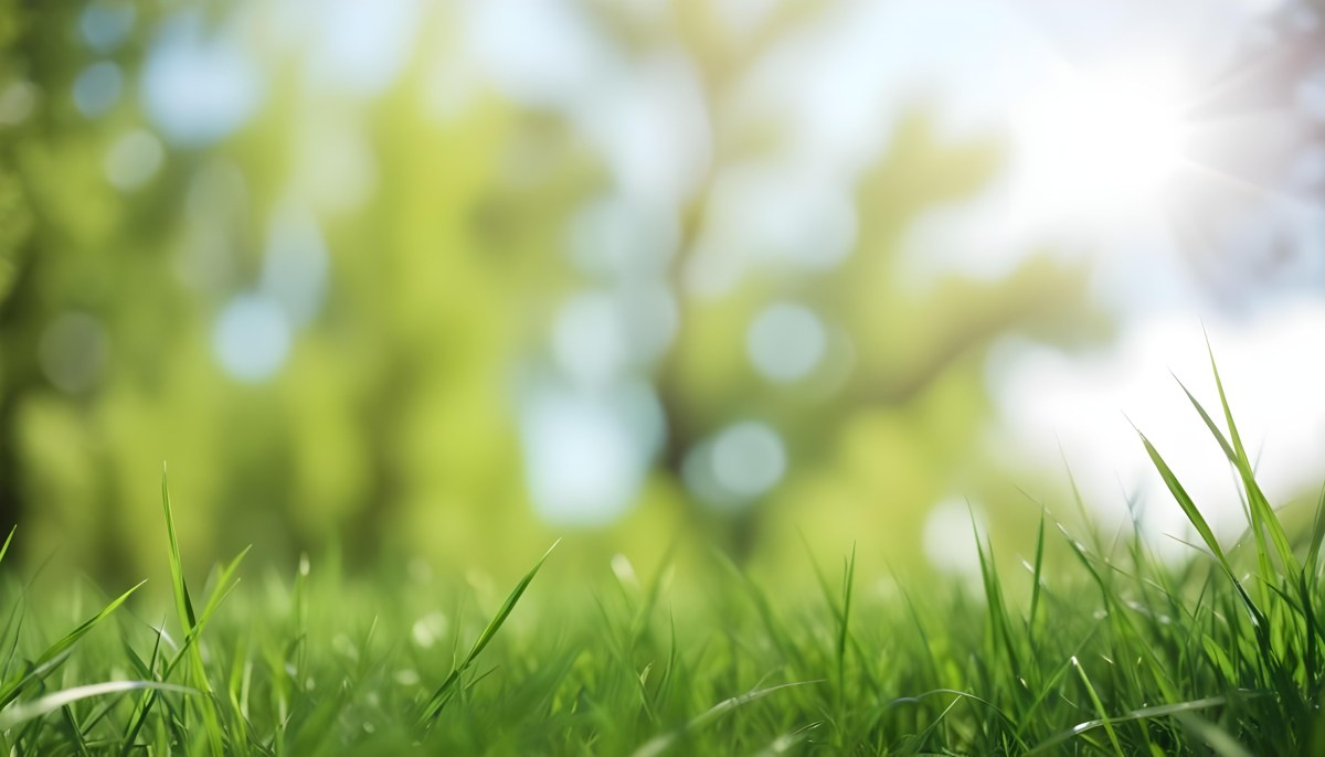 Oil Painting Green Grass In The Foreground Out Of Focus Trees And Sky In The Background Bright And Sunny Day Nature Creative Extremely Detailed Brush Stroke 6 Cc0a