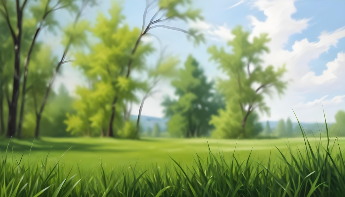 Oil Painting Green Grass In The Foreground Out Of Focus Trees And Sky In The Background Bright And Sunny Day Nature Creative Extremely Detailed Brush Stroke 60 870f