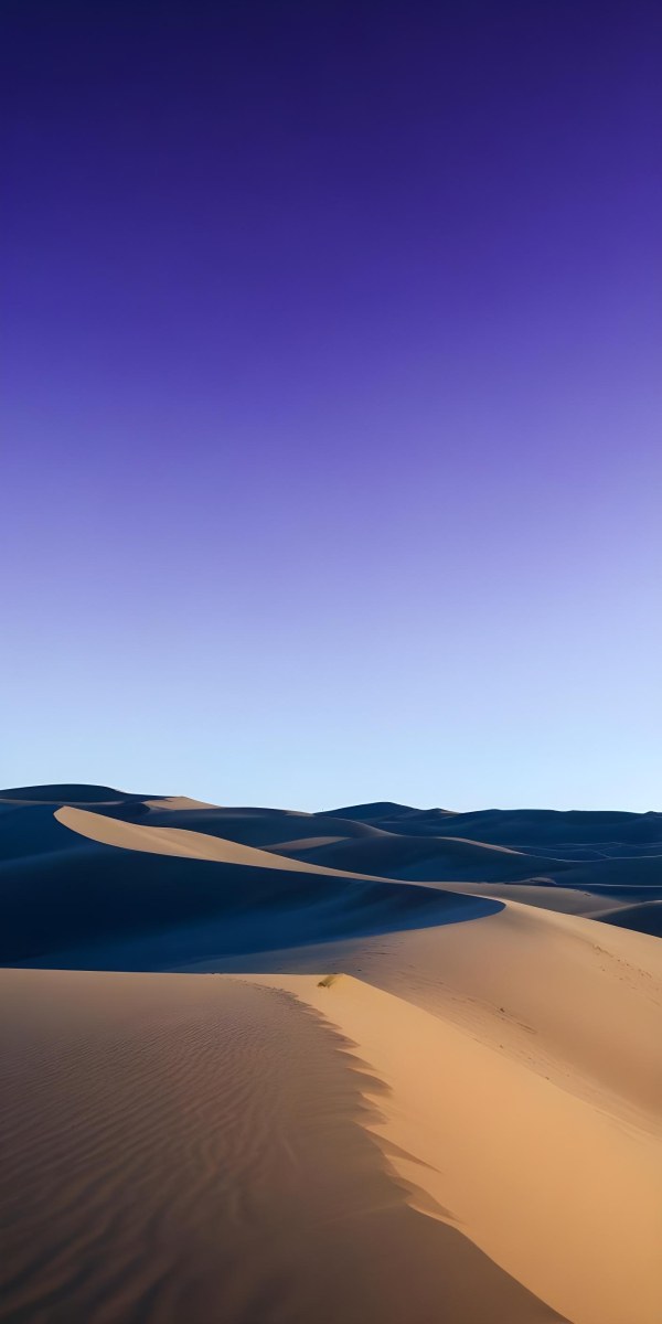 Sand Dunes In A Desert Landscape Under A Clear Blue Sky 4 Ad92