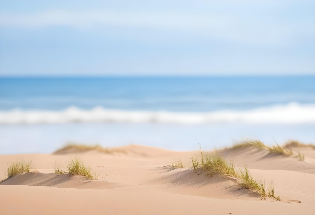 Sand Dunes On A Beach With A Blurred Blue Sky And Ocean In The Background 22 9aed