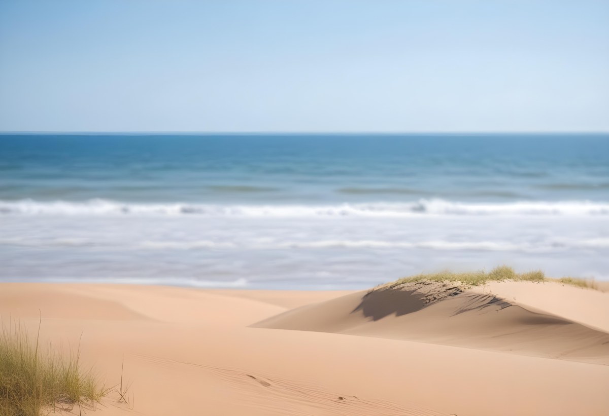 Sand Dunes On A Beach With A Blurred Blue Sky And Ocean In The Background 28 8e60