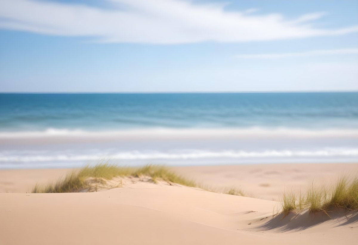 Sand Dunes On A Beach With A Blurred Blue Sky And Ocean In The Background 29 1158