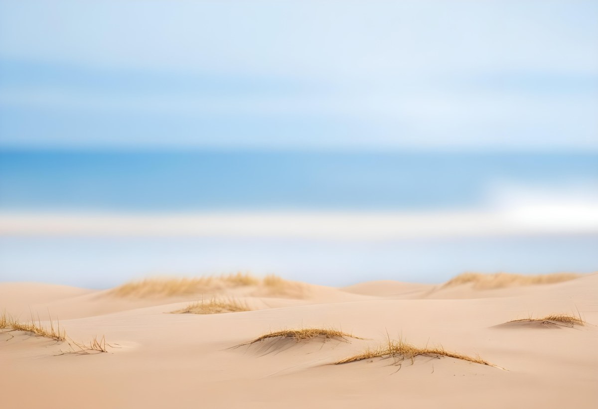 Sand Dunes On A Beach With A Blurred Blue Sky And Ocean In The Background 30 7a3d