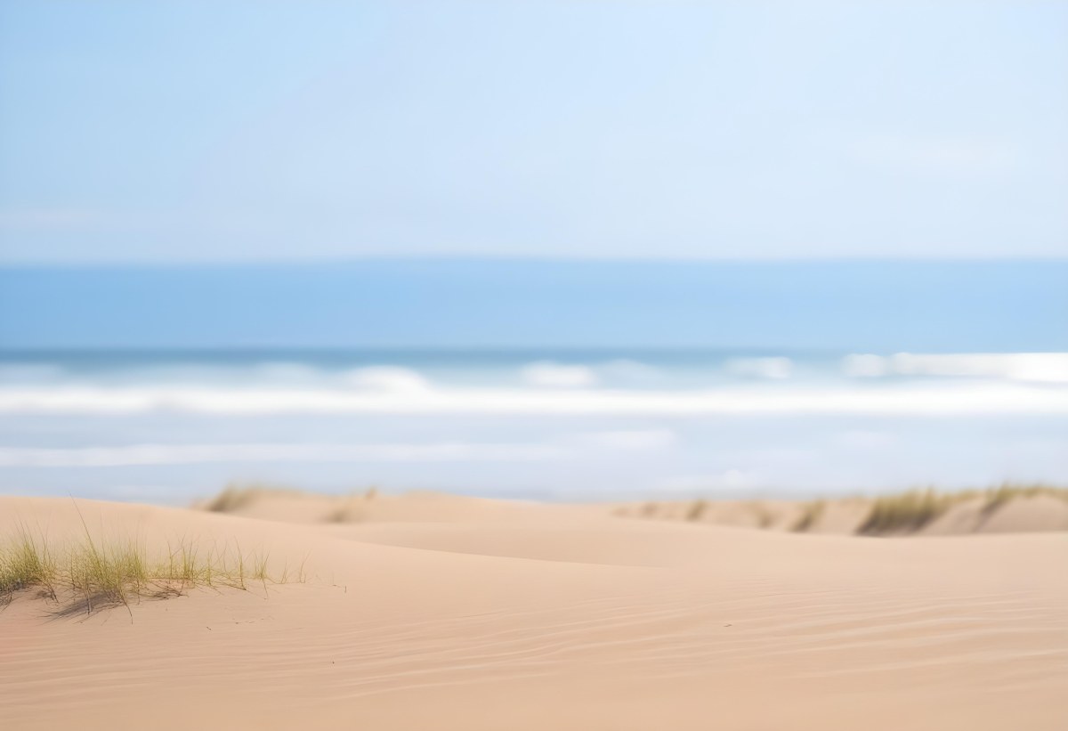 Sand Dunes On A Beach With A Blurred Blue Sky And Ocean In The Background 7 6880