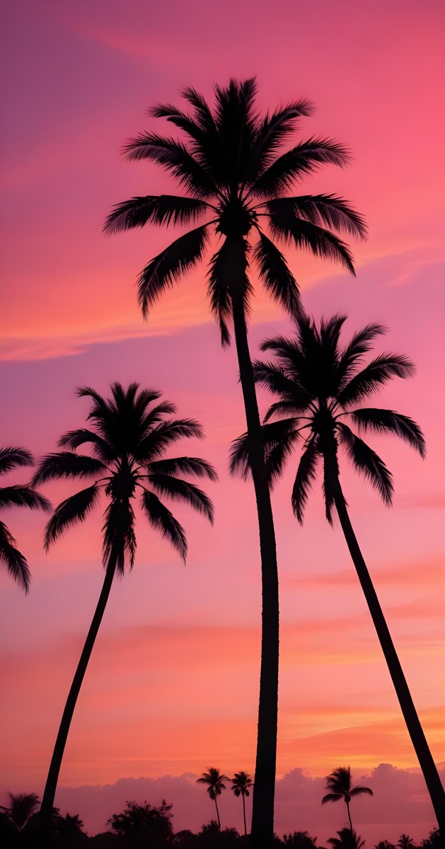 Silhouettes Of Palm Trees Against A Vibrant Pink And Orange Sunset Sky 91 3593