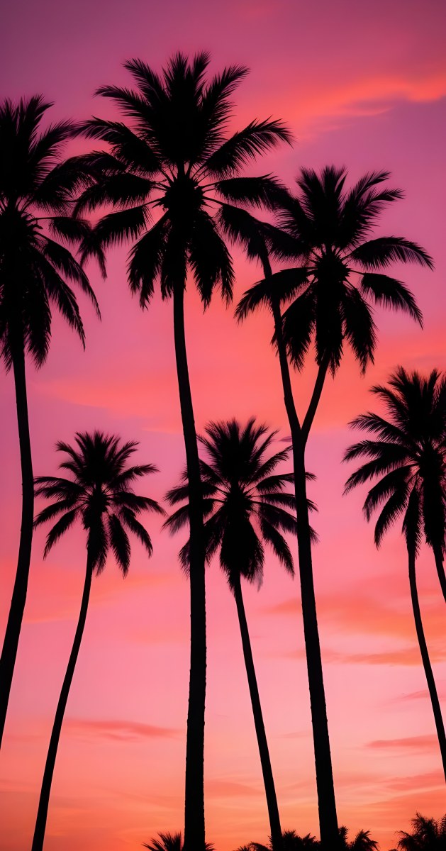 Silhouettes Of Palm Trees Against A Vibrant Pink And Orange Sunset Sky 92 Df61