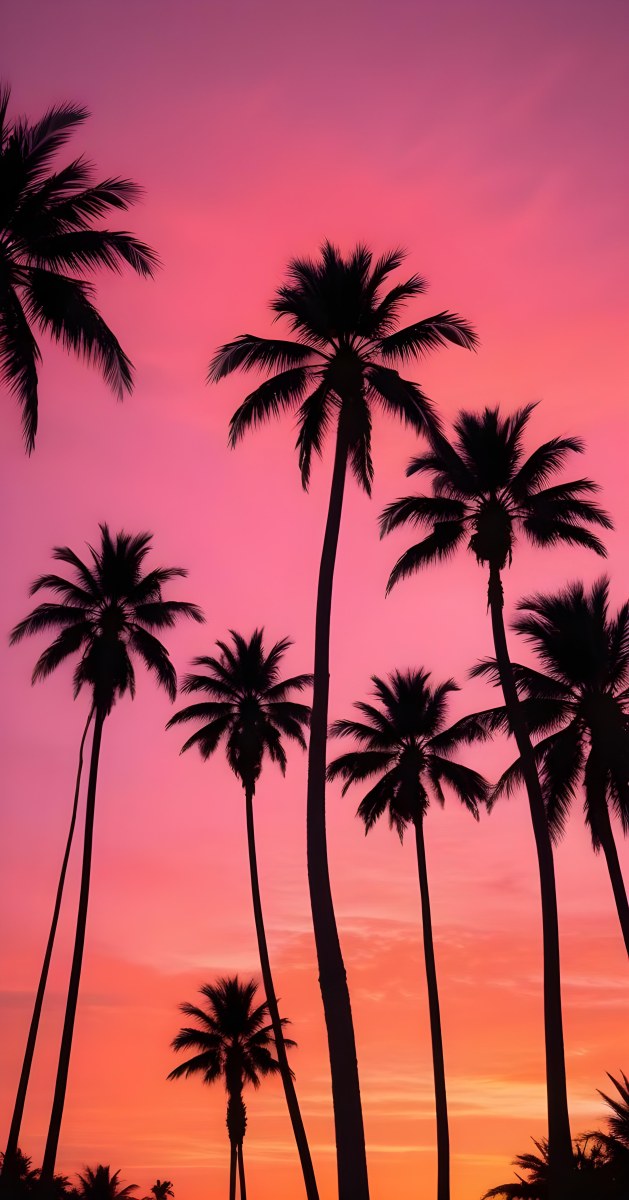 Silhouettes Of Palm Trees Against A Vibrant Pink And Orange Sunset Sky 98 B852