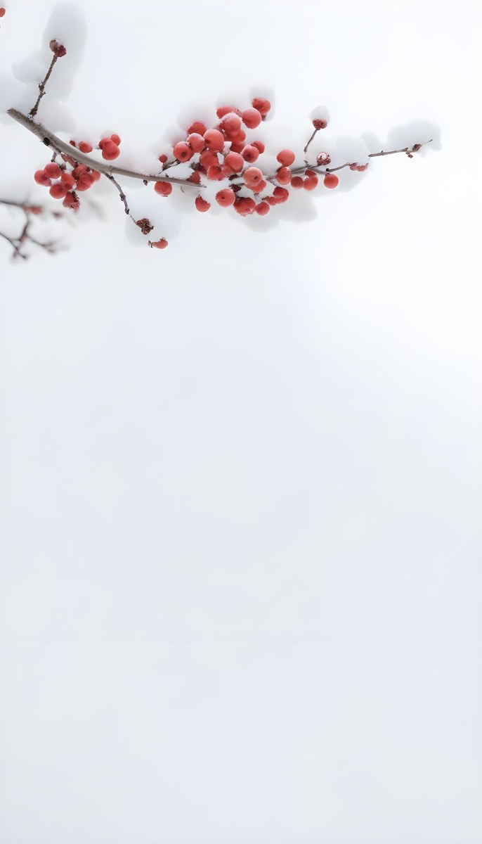 Snowy Branches With Red Berries Winter Landscape With Blurred Background 21 Be72