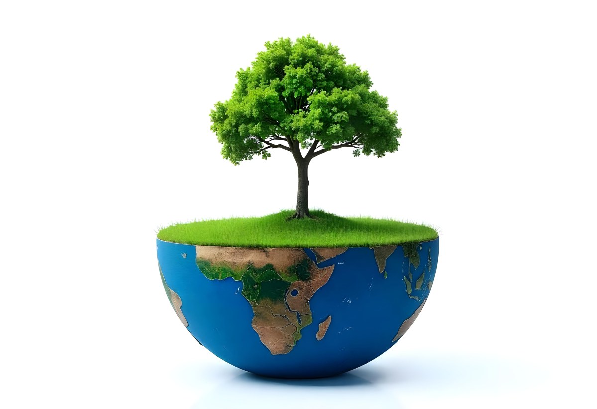 A Tree Growing On A Half Earth With Grass On Top Blue Ocean And White Clouds Isolated On White Background 1 0543