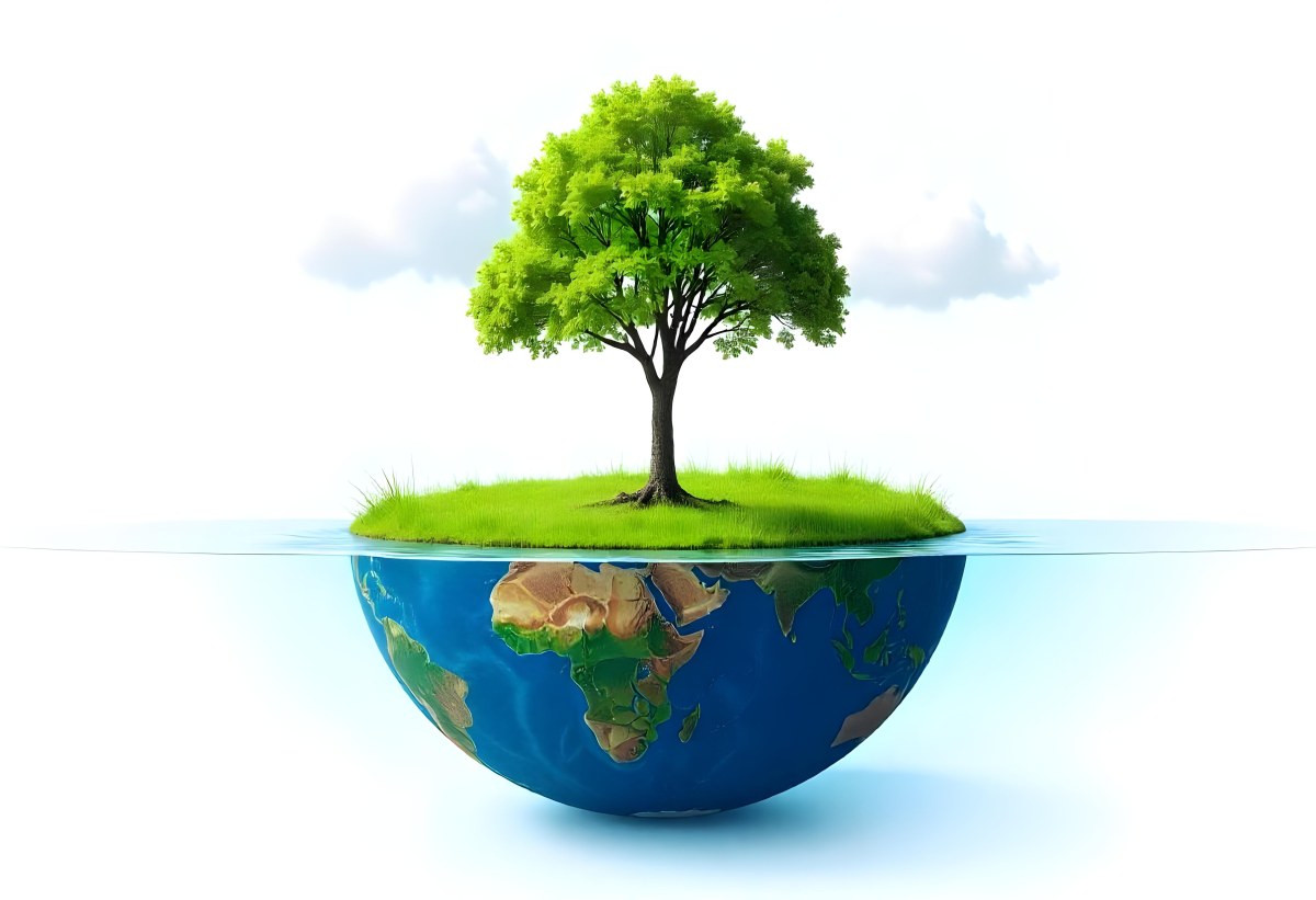 A Tree Growing On A Half Earth With Grass On Top Blue Ocean And White Clouds Isolated On White Background 40 79d7