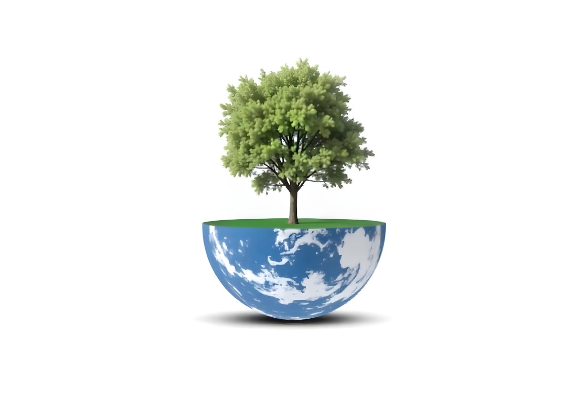 A Tree Growing On A Half Earth With Grass On Top Blue Ocean And White Clouds Isolated On White Background 43 A714