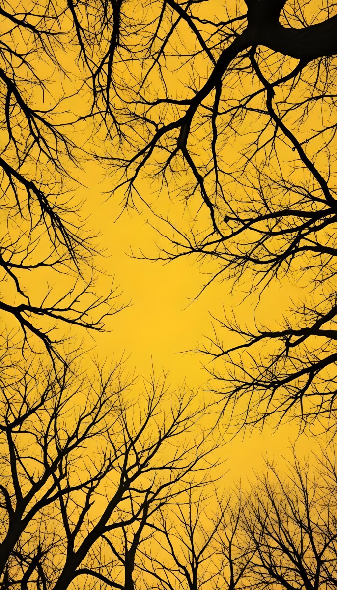 Bare Tree Branches Against A Vibrant Yellow Sky Creating An Abstract And Moody Autumn Scene 1 C1a3