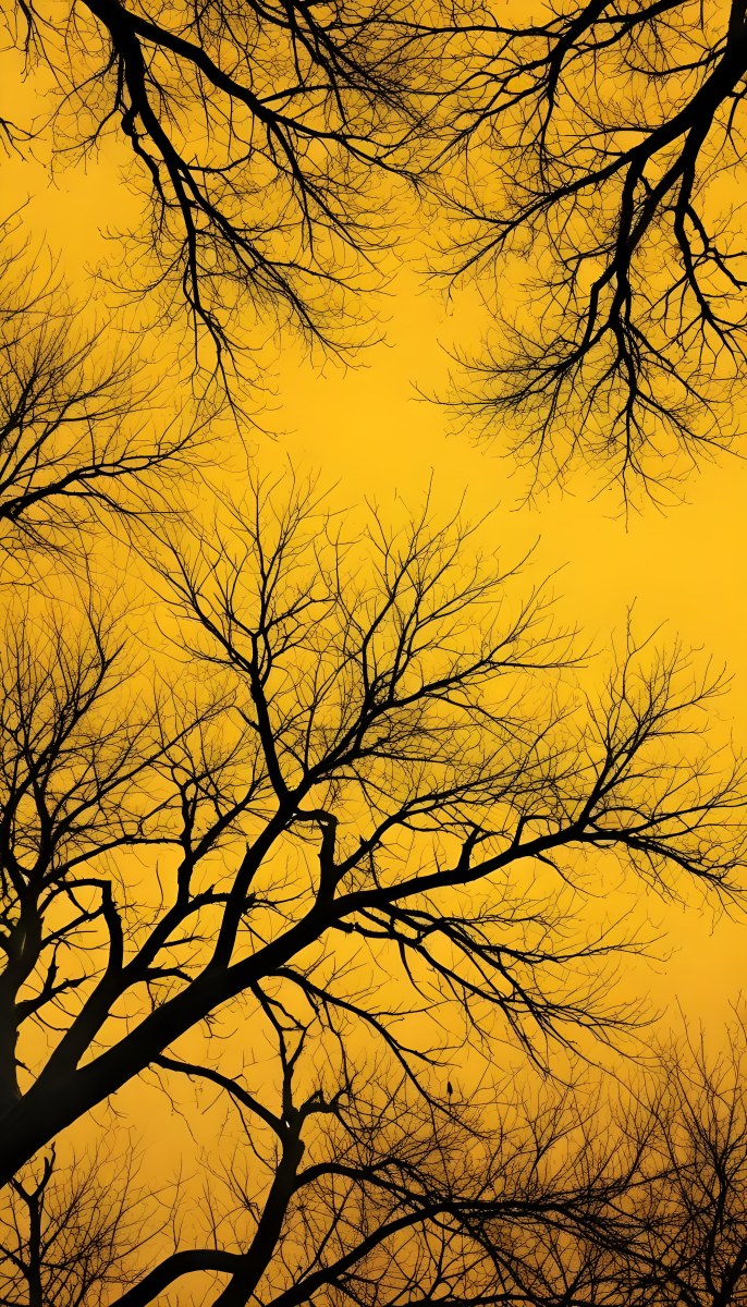 Bare Tree Branches Against A Vibrant Yellow Sky Creating An Abstract And Moody Autumn Scene 10 A8aa