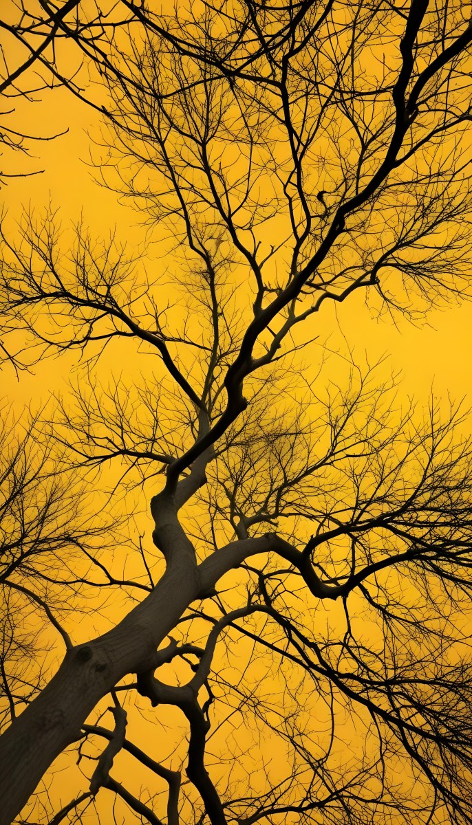 Bare Tree Branches Against A Vibrant Yellow Sky Creating An Abstract And Moody Autumn Scene 12 5e8b
