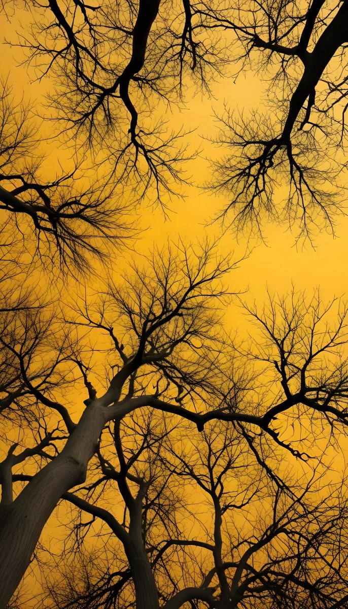 Bare Tree Branches Against A Vibrant Yellow Sky Creating An Abstract And Moody Autumn Scene 14 41f3