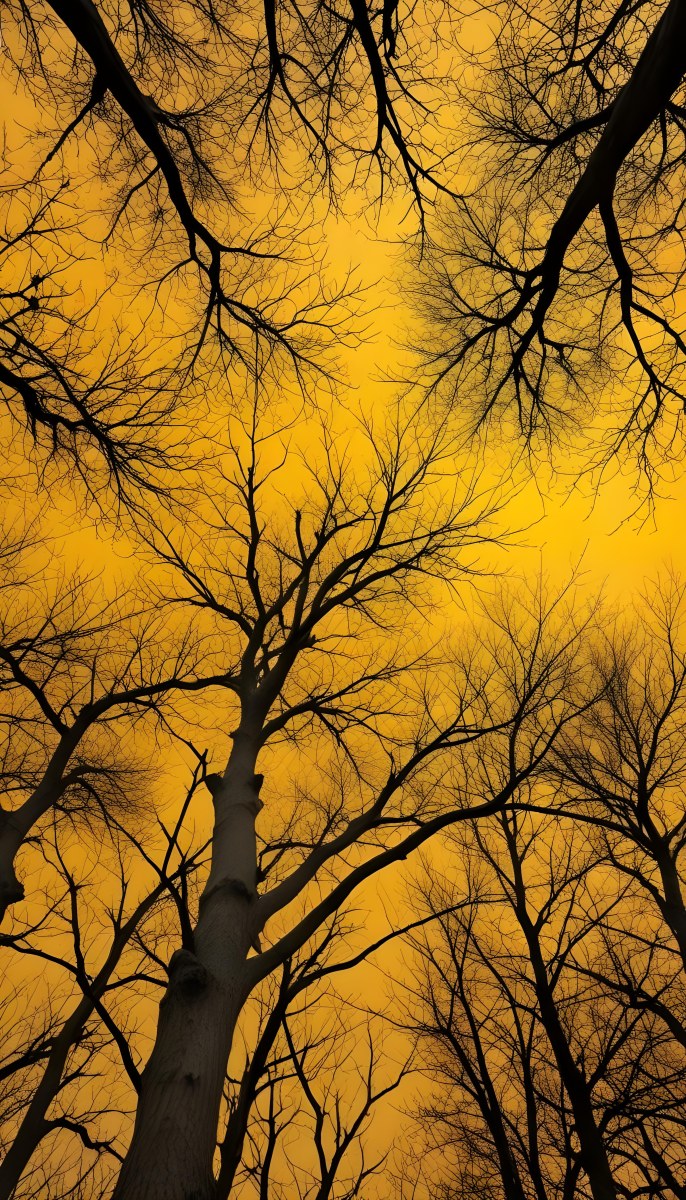 Bare Tree Branches Against A Vibrant Yellow Sky Creating An Abstract And Moody Autumn Scene 16 B67c