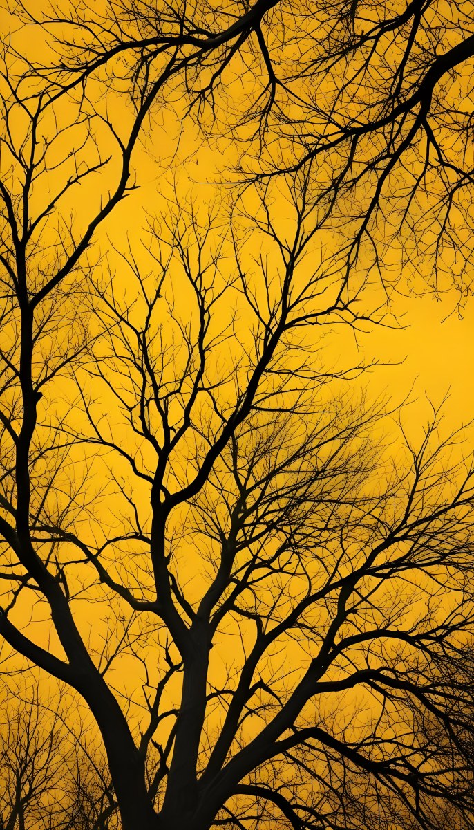 Bare Tree Branches Against A Vibrant Yellow Sky Creating An Abstract And Moody Autumn Scene 18 F8d0