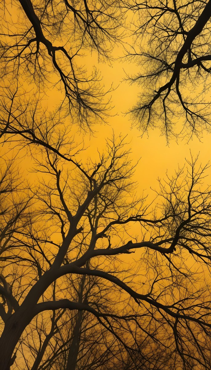 Bare Tree Branches Against A Vibrant Yellow Sky Creating An Abstract And Moody Autumn Scene 19 3d37